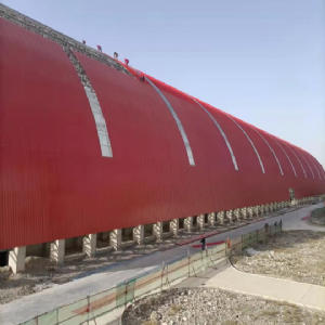 新疆金晖兆丰自备电站一期干煤棚网架